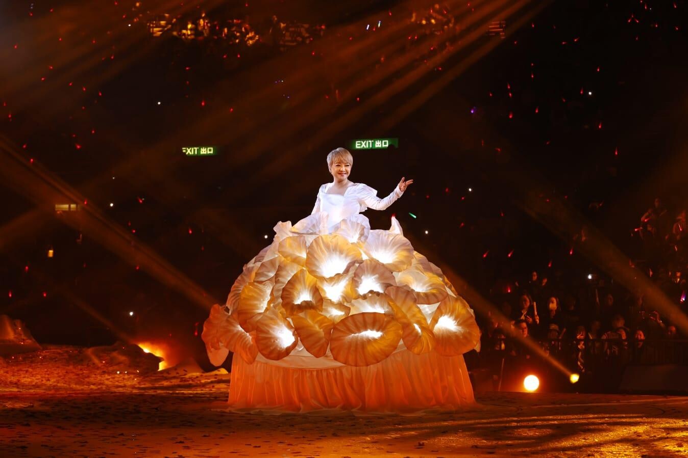 《The Fabulous 40 Priscilla LIVE IN HONG KONG 陳慧嫻演唱會》頭場。